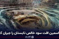 فاسمین افت سود خالص تابستان را جبران کرد