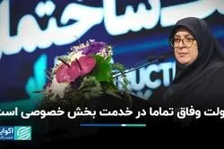 دولت وفاق تماما در خدمت بخش خصوصی است 