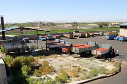 از فردا صادرات گوجه فرنگی ممنوع است