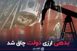 بدهی ارزی دولت چاق شد