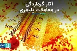 آثار گرمازدگی در معاملات پلیمری