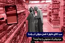 سبد کالای خانوار 8 فصل آب رفت | وام 1 کرونا میلیونی کجا هزینه شد؟