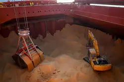 آخزین جزئیات از افزایش قیمت نهاده‌های دامی 