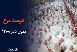 قیمت مرغ بدون دلار ۴۲۰۰
