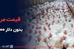 قیمت مرغ بدون دلار ۴۲۰۰