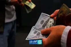 اختلال بانکی، دلار تراولی را داغ کرد
