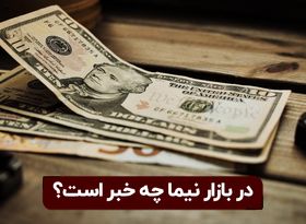 دست مرئی در کاهش قیمت دلار نیمایی