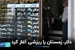 دلار زمستان را ریزشی آغاز کرد