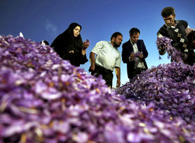 حذف زعفران ایران از بازار جهانی؟  