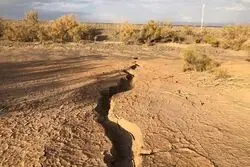 نسخه ملی برای درمان سرطان زمین