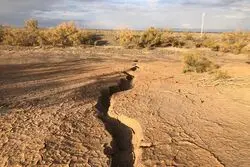 نسخه ملی برای درمان سرطان زمین