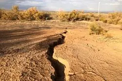 نسخه ملی برای درمان سرطان زمین
