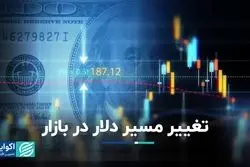 دلار و سکه روی مدار صعود قرار گرفتند