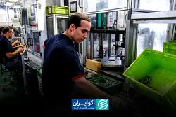 خودرو روی دور کند؛ جنگ چه بر سر تولید خودرو آورد؟