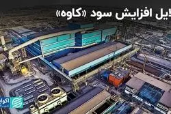 چرا سود نماد 