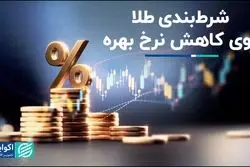 طلا روی کاهش نرخ بهره شرط بست