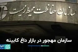 مهجوری سازمان حفاظت محیط زیست در کابینه
