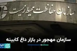 مهجوری سازمان حفاظت محیط زیست در کابینه