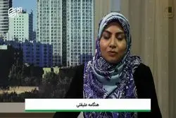 یک اقتصاد، چند دولت