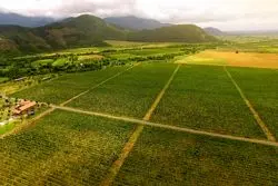 کشاورزی هوشمند راه نجات ایران از بحران آب