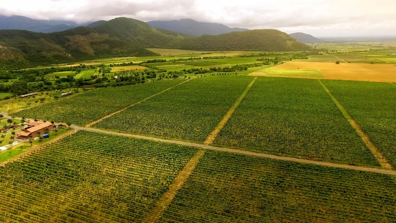 کشاورزی هوشمند راه نجات ایران از بحران آب