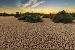 دادگاه لاهه: تغییرات اقلیمی تهدیدی فوری و وجودی برای کشورها است