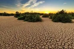 دادگاه لاهه: تغییرات اقلیمی تهدیدی فوری و وجودی برای کشورها است