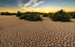 دادگاه لاهه: تغییرات اقلیمی تهدیدی فوری و وجودی برای کشورها است