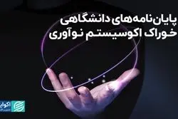 پایان‌نامه‌های دانشگاهی، خوراک اکوسیستم نوآوری