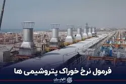 فرمول نرخ خوراک پتروشیمی‌ها