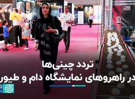 چینی‌ها در نمایشگاه دام و طیور