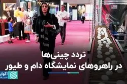 چینی‌ها در نمایشگاه دام و طیور