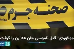 مولاوردی: قتل ناموسی جان 100 زن را گرفت
