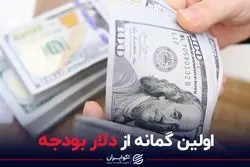 اولین گمانه از دلار بودجه