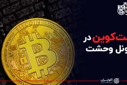 بیت کوین در تونل وحشت


