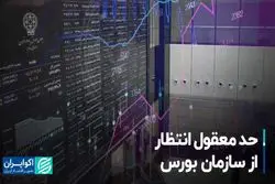 حد معقول انتظار از سازمان بورس