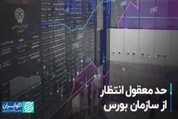 حد معقول انتظار از سازمان بورس