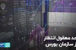 حد معقول انتظار از سازمان بورس