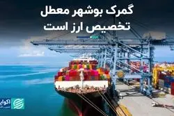  مشکل تخصیص ارز و رسوب کالا در گمرک بوشهر