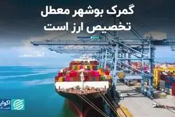  مشکل تخصیص ارز و رسوب کالا در گمرک بوشهر