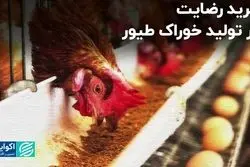 خرید رضایت در تولید خوراک طیور  