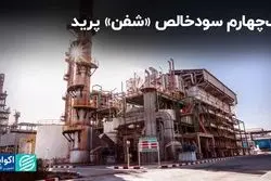 یک‌چهارم سودخالص «شفن» پرید 