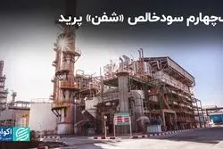 یک‌چهارم سودخالص «شفن» پرید 
