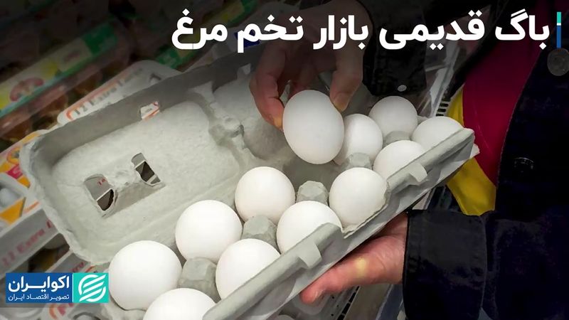 باگ قدیمی بازار تخم مرغ؛ تولید خطی تقاضای فصلی