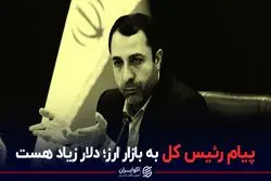 پیام رئیس کل به بازار ارز؛‌ دلار زیاد هست