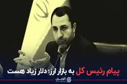 پیام رئیس کل به بازار ارز؛‌ دلار زیاد هست