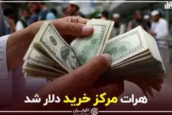 هرات مرکز خرید دلار شد
