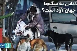 غذادادن به سگ‌ها در جهان آزاد است؟