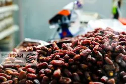 قیمت خرما مضافتی درجه یک در تهران چند؟
