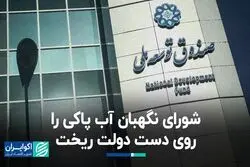 بلاتکلیفی بدهی دولت به صندوق توسعه/ شورای نگهبان آب پاکی را روی دست دولت ریخت
